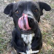 Thumbnail photo of Peaches #4