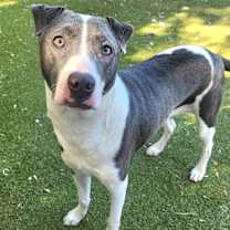 Thumbnail photo of Chloe #4