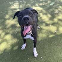 Thumbnail photo of Banksy #2