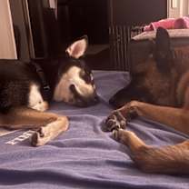 Thumbnail photo of Koozie #3