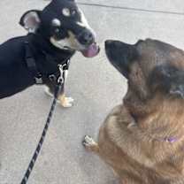 Thumbnail photo of Koozie #4