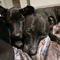 Thumbnail photo of Lilly #3