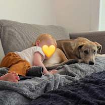 Thumbnail photo of Choo Choo #4