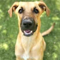 Thumbnail photo of Estrella #1