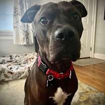 Thumbnail photo of York #1