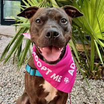 Thumbnail photo of York #4