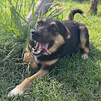 Thumbnail photo of Lil Mama #4