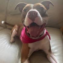 Thumbnail photo of Loretta #2