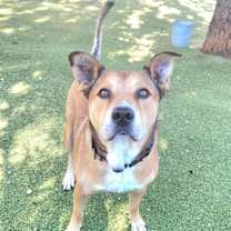 Thumbnail photo of Catero #4