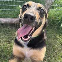 Thumbnail photo of Lil Mama #2