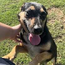 Thumbnail photo of Lil Mama #3