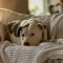 Thumbnail photo of Hero #4