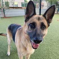 Thumbnail photo of Remi #1