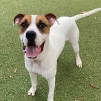 Thumbnail photo of Ralph #1