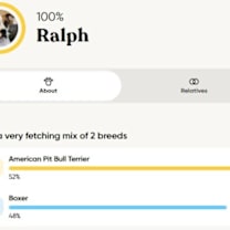 Thumbnail photo of Ralph #2