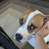 Thumbnail photo of Ralph #3