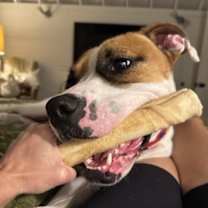 Thumbnail photo of Ralph #4