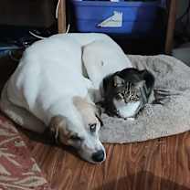 Thumbnail photo of Sid #1