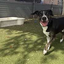 Thumbnail photo of Huey #2