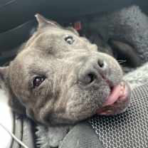 Thumbnail photo of Bunny #4