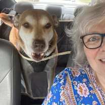 Thumbnail photo of Teddy Bear #2