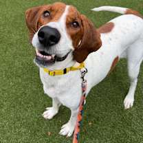 Thumbnail photo of Rowena #1