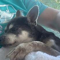 Thumbnail photo of Pita #2