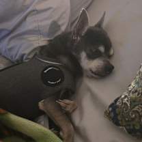 Thumbnail photo of Pita #3