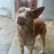 Thumbnail photo of Remi #4