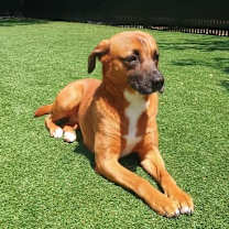 Thumbnail photo of Rosie Kay #1