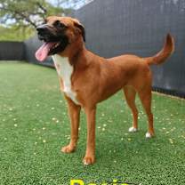 Thumbnail photo of Rosie Kay #4