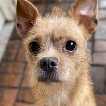 Thumbnail photo of ECHO #4