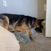 Thumbnail photo of Scout #3