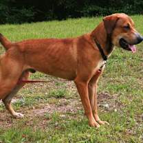 Thumbnail photo of Oscar #2