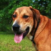 Thumbnail photo of Oscar #3