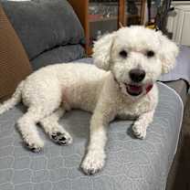 Thumbnail photo of Brodi #1