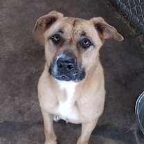 Thumbnail photo of Luna #4