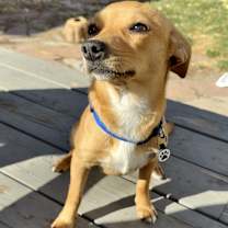 Thumbnail photo of Ashley #1