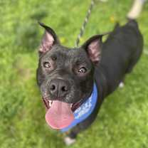 Thumbnail photo of Morty #4