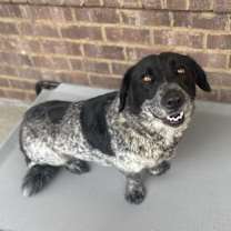 Thumbnail photo of Shautae #4