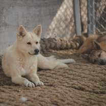 Thumbnail photo of Gowoon #4