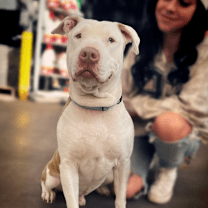 Thumbnail photo of Mossberg #1