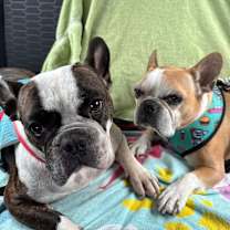 Thumbnail photo of Cash #2