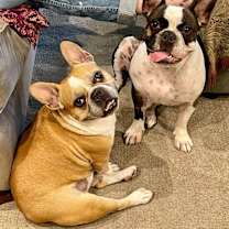 Thumbnail photo of Cash #3