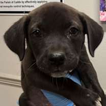 Thumbnail photo of Marina #3