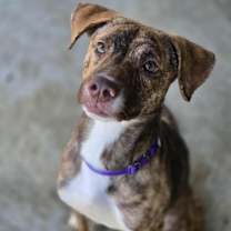 Thumbnail photo of BRITTA #3