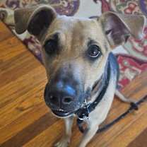 Thumbnail photo of Journey #4