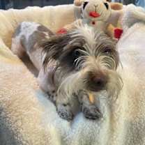 Thumbnail photo of Yeager #3