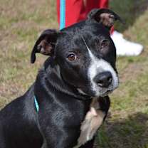 Thumbnail photo of EVER #1