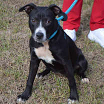 Thumbnail photo of EVER #2